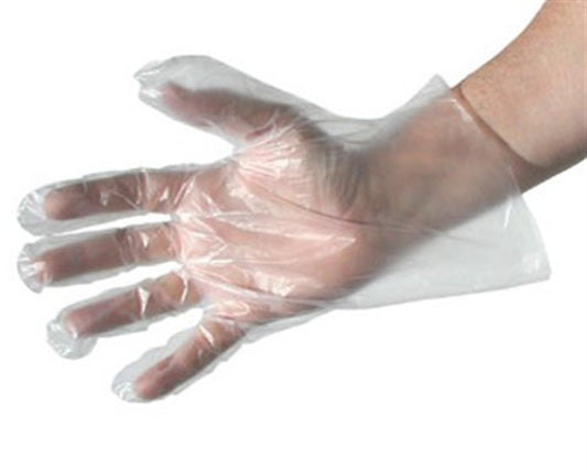 ACSIN010000.jpg