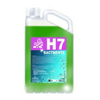 Detergente Desinfetante Bactericida H7 BACTMENTA 5 L