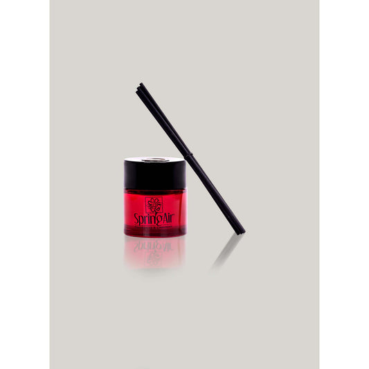 Mikado Springair Breeze 100ml